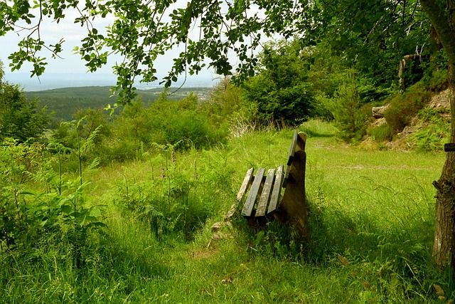 利物浦计划 利物浦计划