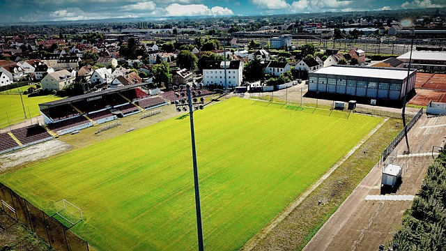 康和竞技状 康和竞技状