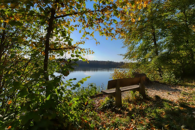 多英超球星 多英超球星